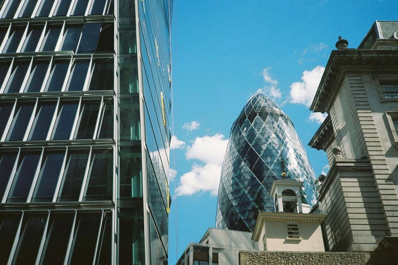 Investment crisis case study
